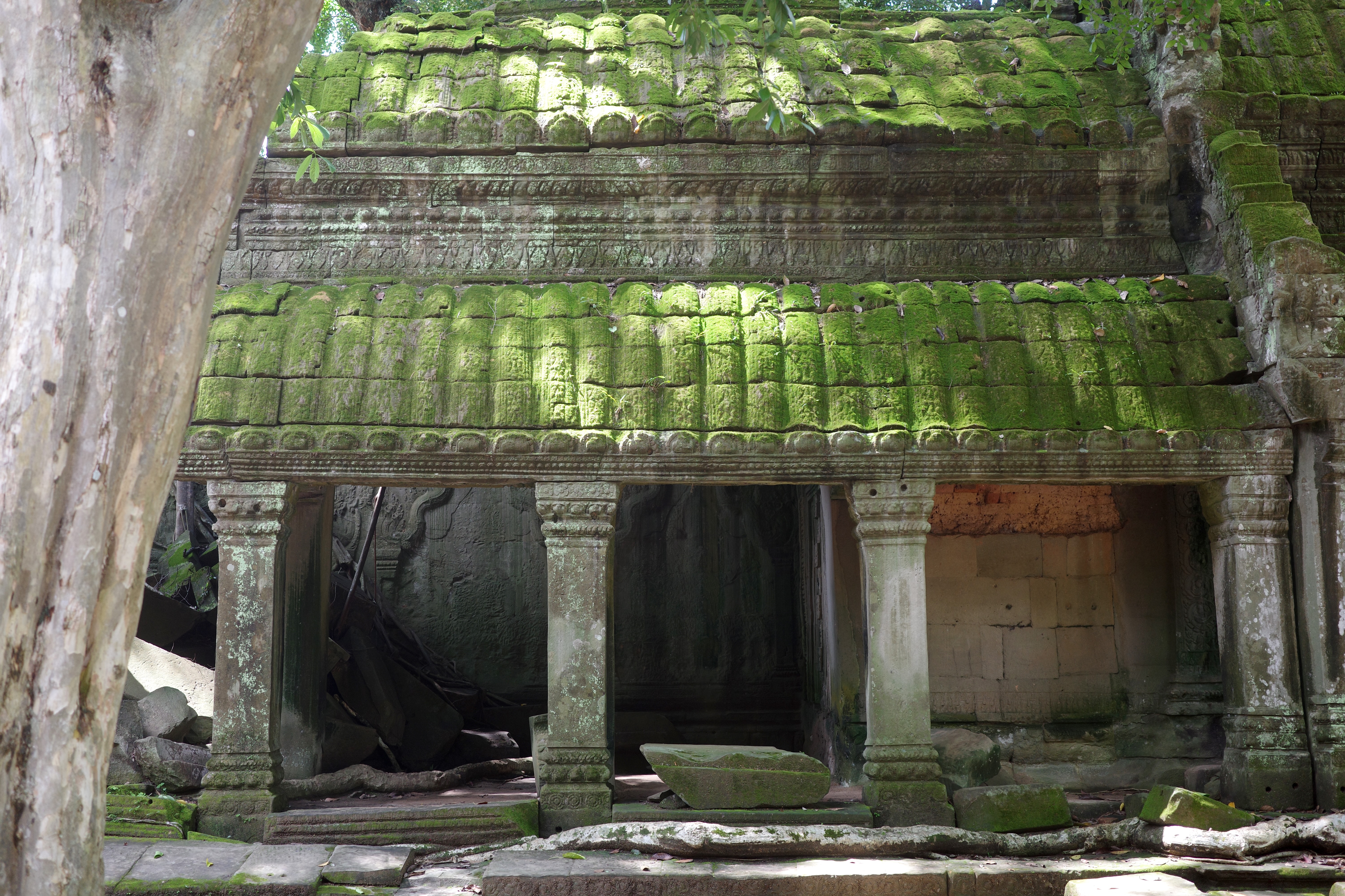 Cambodia's Ta Prom temple