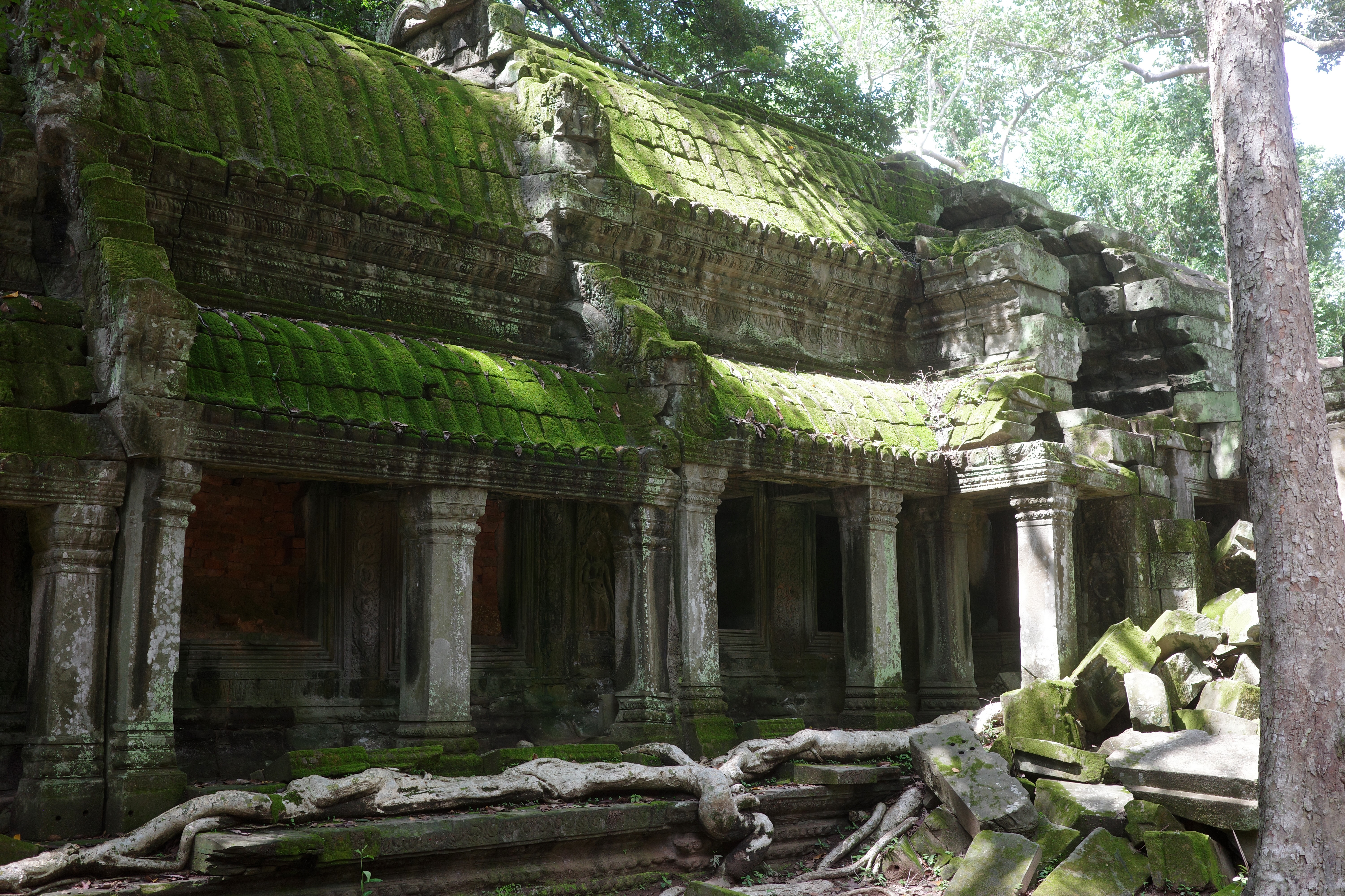 Cambodia's Ta Prom temple