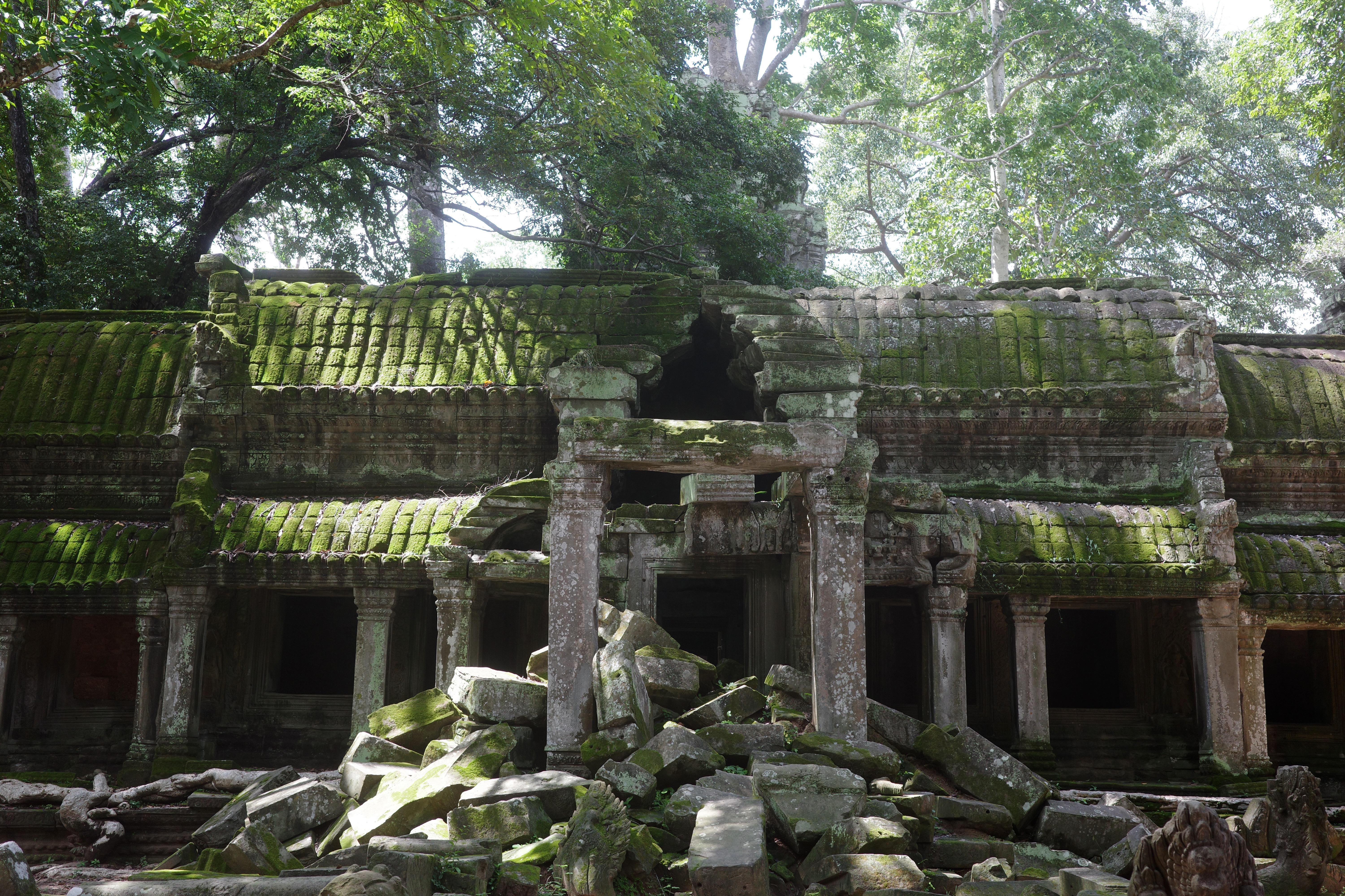 Cambodia's Ta Prom temple
