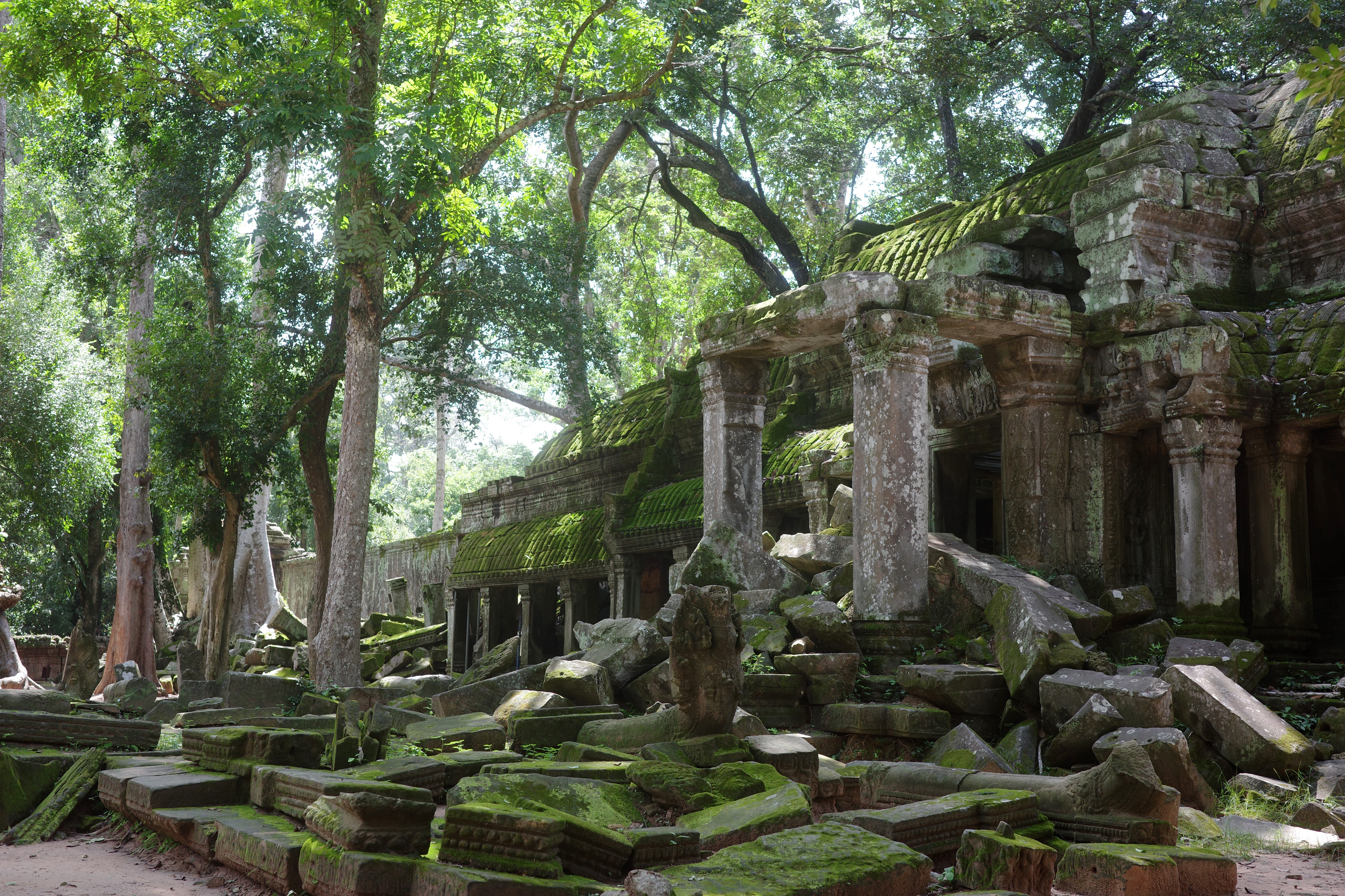 CCambodia's Ta Prom temple