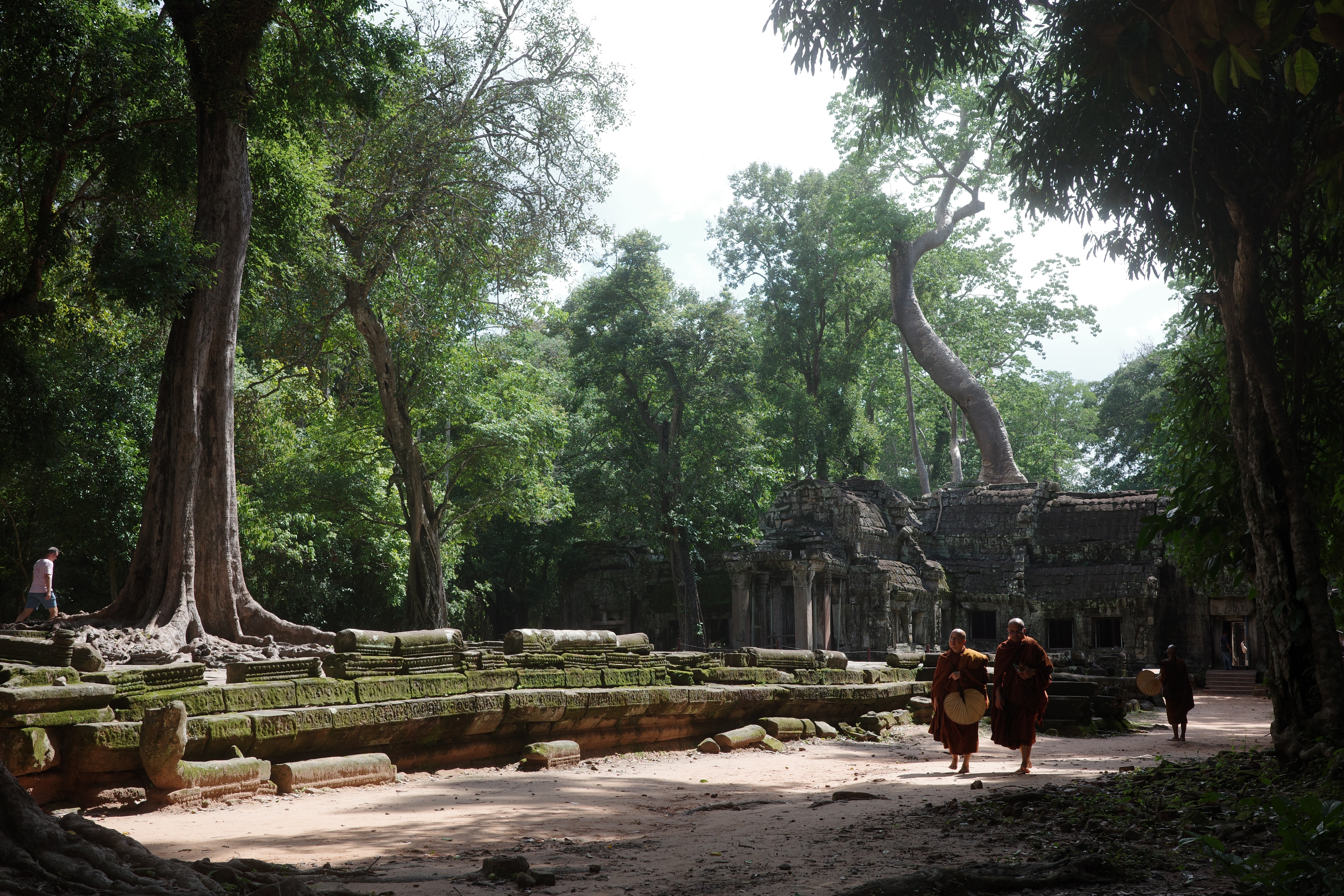 Cambodia's Ta Prom temple